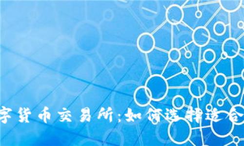 新加坡数字货币交易所:如何选择适合你的平台?