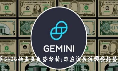 数字货币SHIB的未来走势分析:你应该关注哪些趋势与机会?