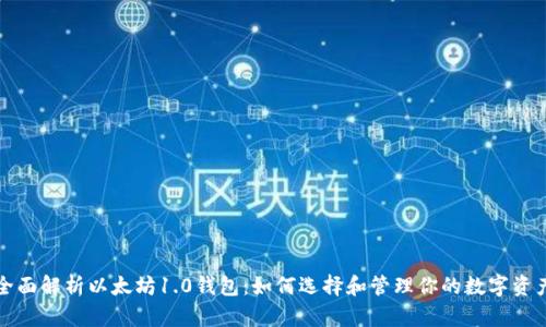 全面解析以太坊1.0钱包:如何选择和管理你的数字资产