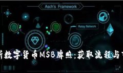 全面解析数字货币MSB牌照：获取流程与
