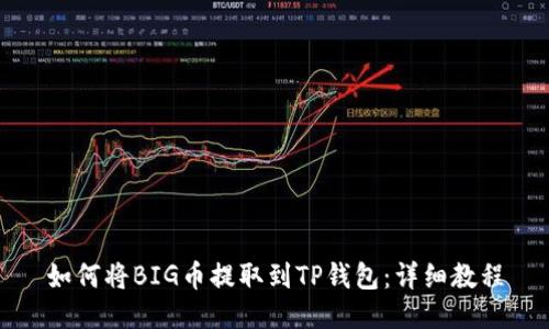 如何将BIG币提取到TP钱包:详细教程