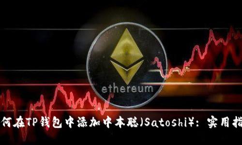 如何在TP钱包中添加中本聪(Satoshi): 实用指南