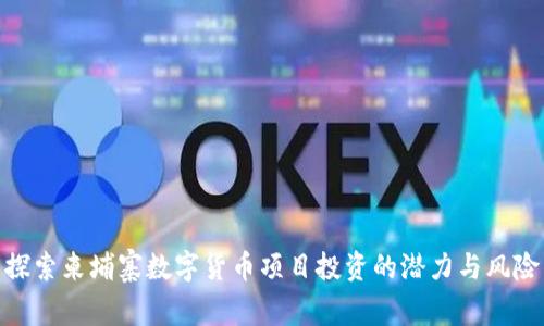 探索柬埔寨数字货币项目投资的潜力与风险