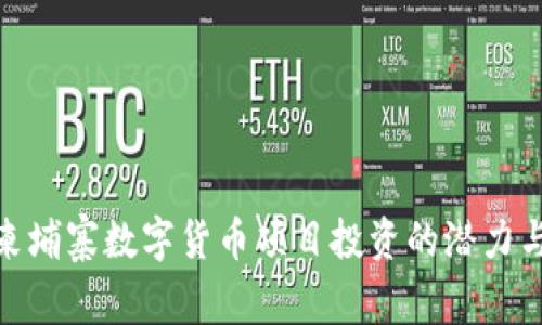 探索柬埔寨数字货币项目投资的潜力与风险