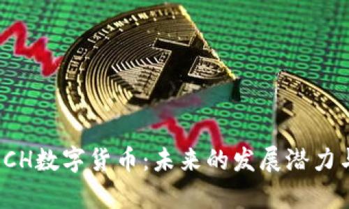 全面解析BCH数字货币:未来的发展潜力与投资机会