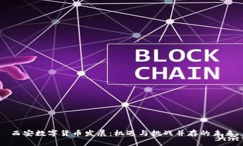 西安数字货币发展:机遇与挑战并存的未来