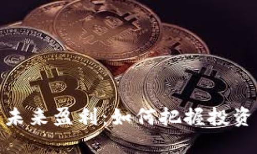 数字货币的未来盈利：如何把握投资机会与风险