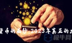 揭开数字货币的面纱：2023年真正的龙