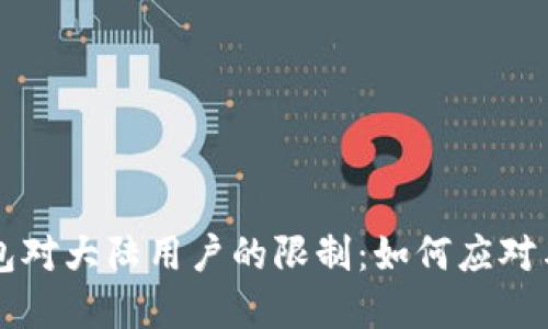 TP钱包对大陆用户的限制:如何应对与解决