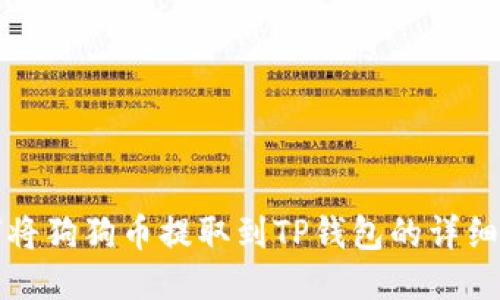 如何将狗狗币提取到TP钱包的详细指南