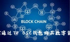 如何通过TP BSC钱包购买数字货币？