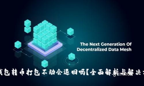 TP钱包转币打包不动会退回吗?全面解析与解决方案