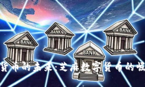 探讨数字货币的未来:芝麻数字货币的崛起与机遇