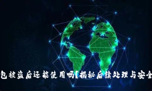 TP钱包被盗后还能使用吗?揭秘后续处理与安全防范