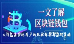 u钱包未偿还用户的现状分析与应对策