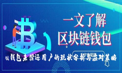 u钱包未偿还用户的现状分析与应对策略