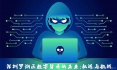 深圳罗湖区数字货币的未来：机遇与挑