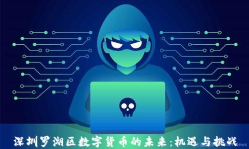 深圳罗湖区数字货币的未来:机遇与挑战