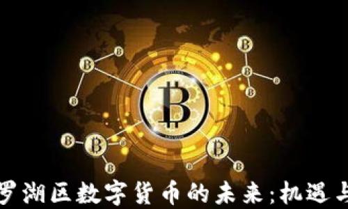 深圳罗湖区数字货币的未来:机遇与挑战