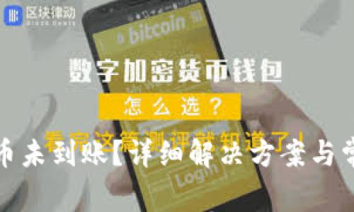 : TP钱包提币未到账?详细解决方案与常见问题解析