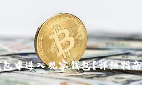如何在TP钱包中进入观察钱包?详细指南与使用技巧