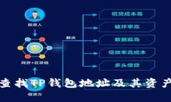 如何查找TP钱包地址及其资产信息