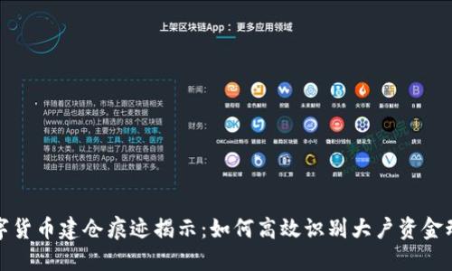 数字货币建仓痕迹揭示:如何高效识别大户资金动向