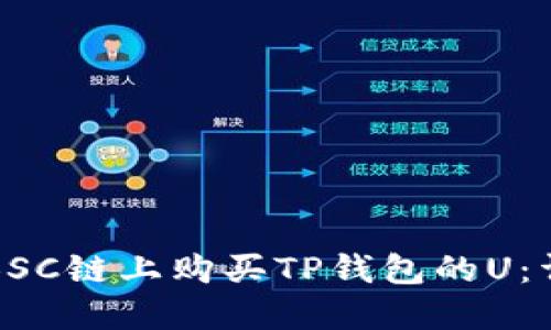 如何在BSC链上购买TP钱包的U：详细指南