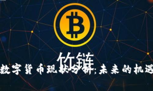 柬埔寨数字货币现状分析：未来的机遇与挑战