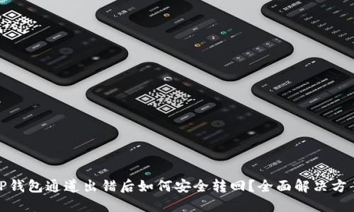 TP钱包通道出错后如何安全转回?全面解决方案