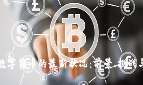 美国数字货币的最新状况:前景、挑战与机遇