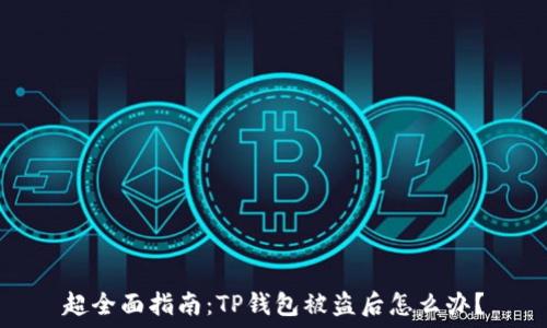   
超全面指南：TP钱包被盗后怎么办？