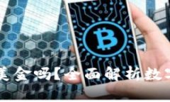 以太坊钱包可以存美金吗？全面解析数