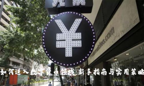 如何进入数字货币领域：新手指南与实用策略