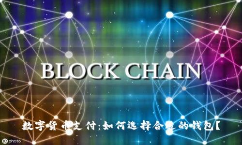 数字货币支付:如何选择合适的钱包?