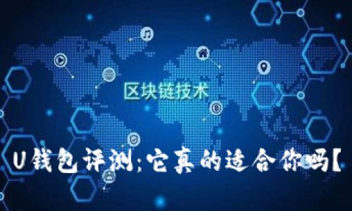 U钱包评测：它真的适合你吗？