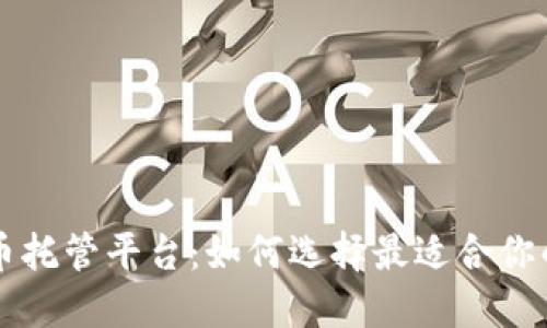 新加坡数字货币托管平台:如何选择最适合你的投资解决方案