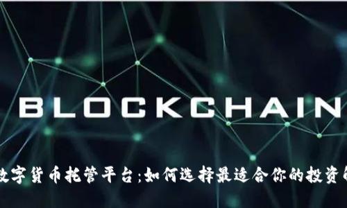 新加坡数字货币托管平台:如何选择最适合你的投资解决方案