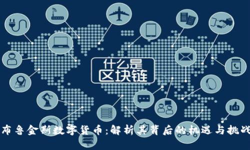 布鲁金斯数字货币:解析其背后的机遇与挑战