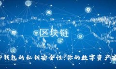 揭秘TP钱包的私钥安全性：你的数字资