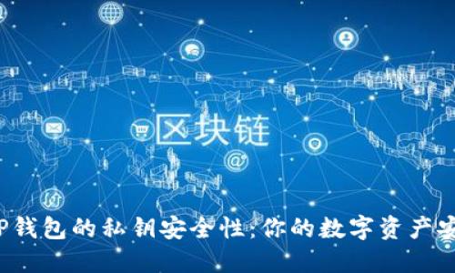 揭秘TP钱包的私钥安全性:你的数字资产安全吗?