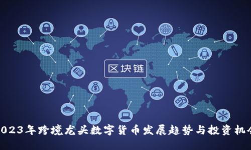 2023年跨境龙头数字货币发展趋势与投资机会