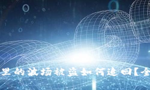 TP钱包里的波场被盗如何追回?全面解析