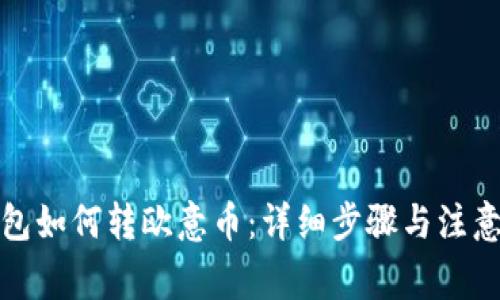 TP钱包如何转欧意币:详细步骤与注意事项
