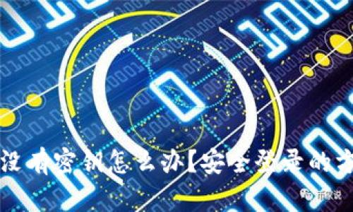 TP钱包没有密钥怎么办？安全登录的方法解析