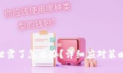 TP钱包私钥泄露了怎么办？详细应对策