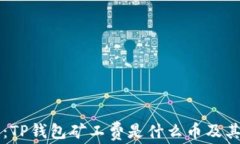 深入解读：TP钱包矿工费是什么币及其