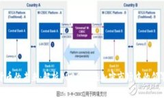 数字货币的未来：解析300663在加密市场