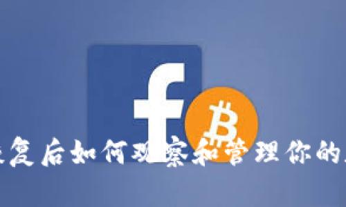 TP钱包恢复后如何观察和管理你的数字资产