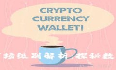 TP钱包新币的市场级别解析：探秘数字
